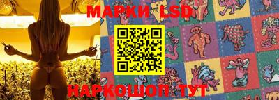 скорость Новозыбков