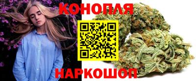 скорость Новозыбков