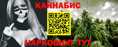 скорость Новозыбков