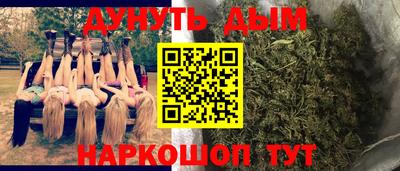 индика Обнинск